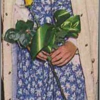  : Gallery : collection : 2005 : 01 : DarylHannah2.jpg