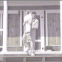  : Gallery : collection : 2005 : 01 : HAW29.jpg