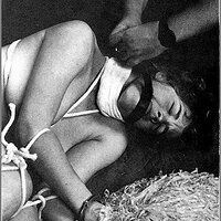  : Gallery : collection : 2005 : 01 : caff0775.jpg