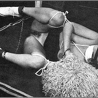  : Gallery : collection : 2005 : 01 : caff0777.jpg