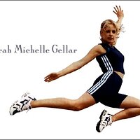  : Gallery : collection : 2005 : 01 : gellar.jpg