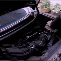  : Gallery : collection : 2005 : 01 : haider3.jpg