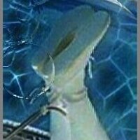  : Gallery : collection : 2005 : 01 : hogt.jpg