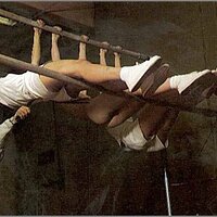  : Gallery : collection : 2005 : 01 : jns1733.jpg