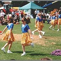  : Gallery : collection : 2005 : 01 : pym6.jpg