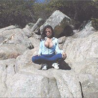  : Gallery : collection : 2005 : 01 : set7019.jpg