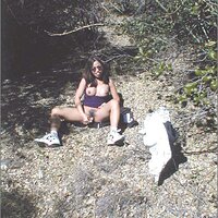  : Gallery : collection : 2005 : 01 : set7039.jpg