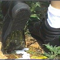  : Gallery : collection : 2005 : 01 : th_RFS_blk_out70.jpg