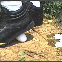  : Gallery : collection : 2005 : 01 : th_RFS_blk_out72.jpg