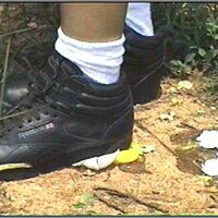  : Gallery : collection : 2005 : 01 : th_RFS_blk_out79.jpg