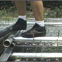  : Gallery : collection : 2005 : 01 : th_RFS_blk_out8.jpg