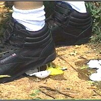  : Gallery : collection : 2005 : 01 : th_RFS_blk_out80.jpg