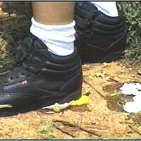  : Gallery : collection : 2005 : 01 : th_RFS_blk_out81.jpg