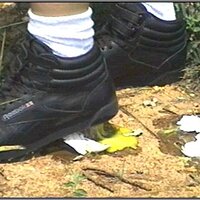  : Gallery : collection : 2005 : 01 : th_RFS_blk_out83.jpg