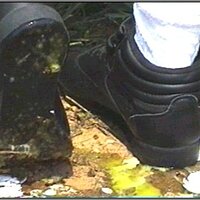  : Gallery : collection : 2005 : 01 : th_RFS_blk_out90.jpg