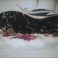  : Gallery : collection : 2005 : 07 : NikeRunner17.jpg