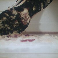  : Gallery : collection : 2005 : 07 : NikeRunner18.jpg