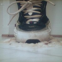  : Gallery : collection : 2005 : 07 : NikeRunner20.jpg