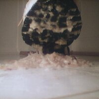  : Gallery : collection : 2005 : 07 : NikeRunner22.jpg