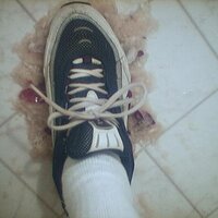  : Gallery : collection : 2005 : 07 : NikeRunner24.jpg