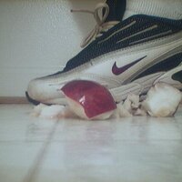  : Gallery : collection : 2005 : 07 : NikeRunner9.jpg