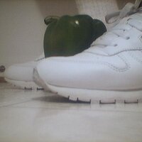  : Gallery : collection : 2005 : 07 : Reebok22.jpg