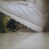 : Gallery : collection : 2005 : 07 : Reebok25.jpg