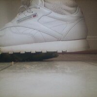 : Gallery : collection : 2005 : 07 : Reebok29.jpg