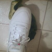  : Gallery : collection : 2005 : 07 : Reebok30.jpg