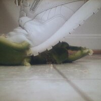  : Gallery : collection : 2005 : 07 : Reebok31.jpg