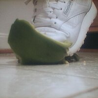  : Gallery : collection : 2005 : 07 : Reebok33.jpg