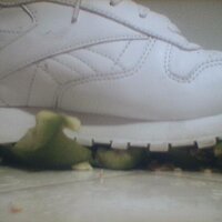  : Gallery : collection : 2005 : 07 : Reebok36.jpg