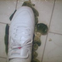  : Gallery : collection : 2005 : 07 : Reebok38.jpg