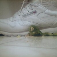  : Gallery : collection : 2005 : 07 : Reebok39.jpg