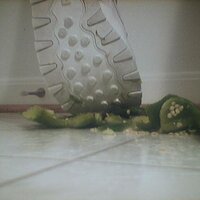  : Gallery : collection : 2005 : 07 : Reebok40.jpg