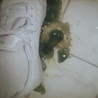  : Gallery : collection : 2005 : 07 : Reebok41.jpg