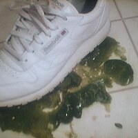  : Gallery : collection : 2005 : 07 : Reebok45.jpg