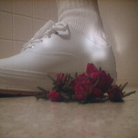  : Gallery : collection : 2005 : 07 : TOF00001.JPG