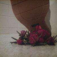  : Gallery : collection : 2005 : 07 : TOF00003.JPG