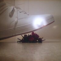  : Gallery : collection : 2005 : 07 : TOF00004.JPG