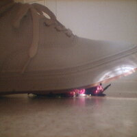  : Gallery : collection : 2005 : 07 : TOF00005.JPG