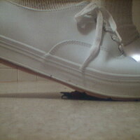  : Gallery : collection : 2005 : 07 : TOF00008.JPG