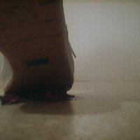  : Gallery : collection : 2005 : 07 : TOF00010.JPG