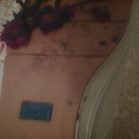  : Gallery : collection : 2005 : 07 : TOF00012.JPG