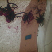  : Gallery : collection : 2005 : 07 : TOF00014.JPG