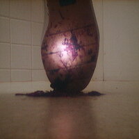  : Gallery : collection : 2005 : 07 : TOF00017.JPG