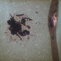  : Gallery : collection : 2005 : 07 : TOF00018.JPG