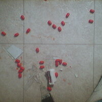  : Gallery : collection : 2005 : 07 : TOF00019.JPG