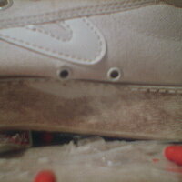  : Gallery : collection : 2005 : 07 : TOF00020.JPG