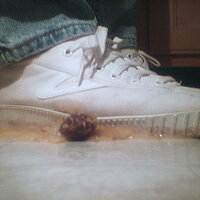  : Gallery : collection : 2005 : 07 : TOF00021.JPG